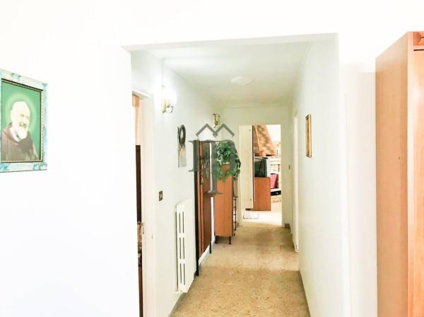 immagine annuncio 3 di 13