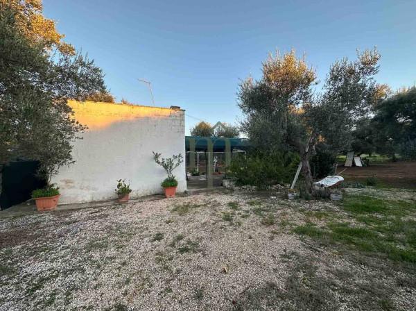 immagine annuncio 10 di 13