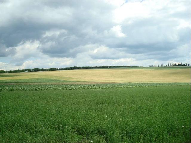 Agricultural land in {3}, - Photo 1