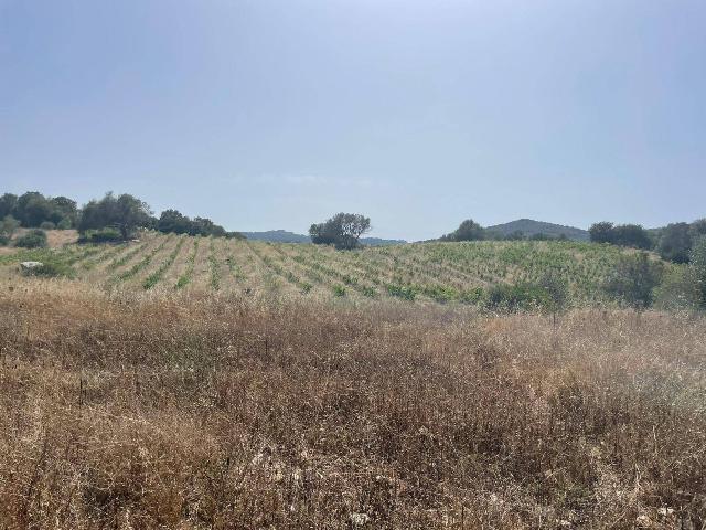 Terreno agricolo in {3}, Via Stazzu San Giovanni - Foto 1