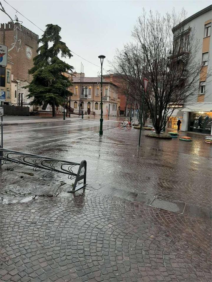 immagine annuncio 1 di 4