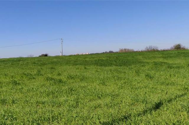 Building land in Via Fontane, Villorba - Photo 1