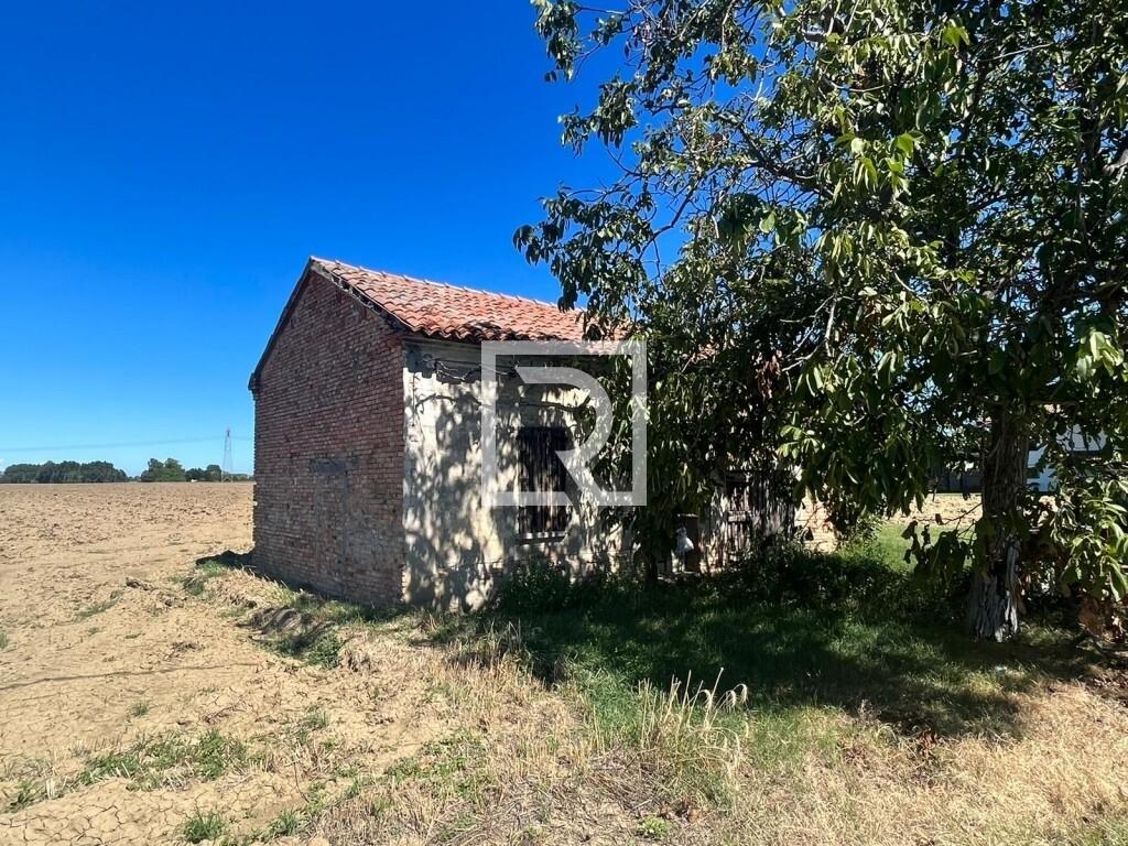 immagine annuncio 4 di 14