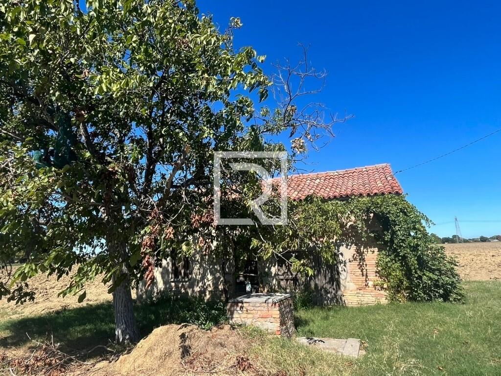 immagine annuncio 6 di 14