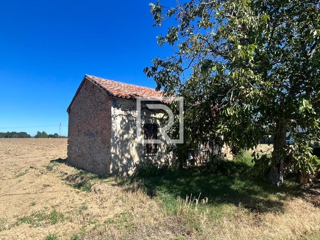 immagine annuncio 3 di 14