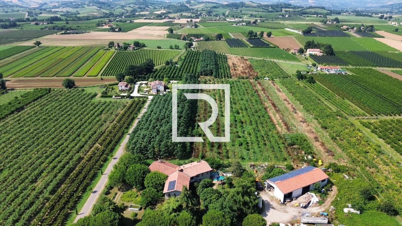 immagine annuncio 9 di 14