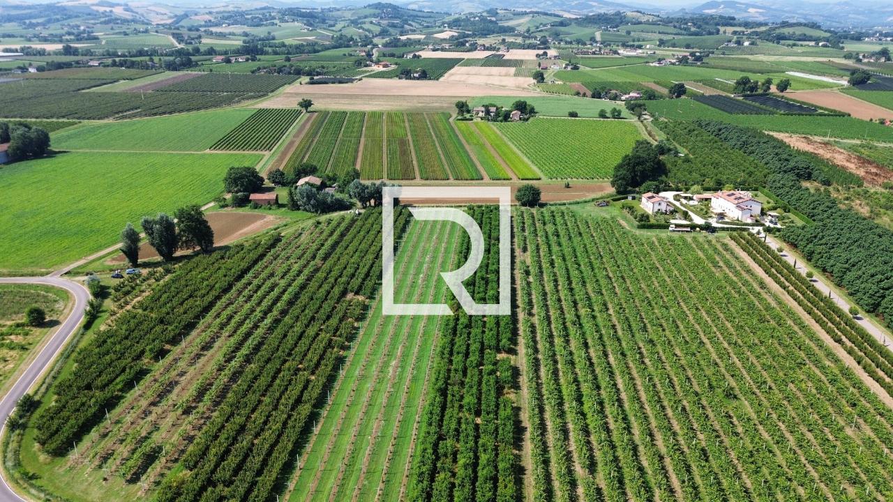 immagine annuncio 5 di 14