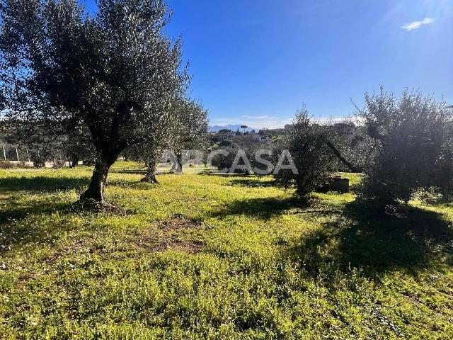 Terreno agricolo in Via Capanna Murata, Velletri - Foto 1