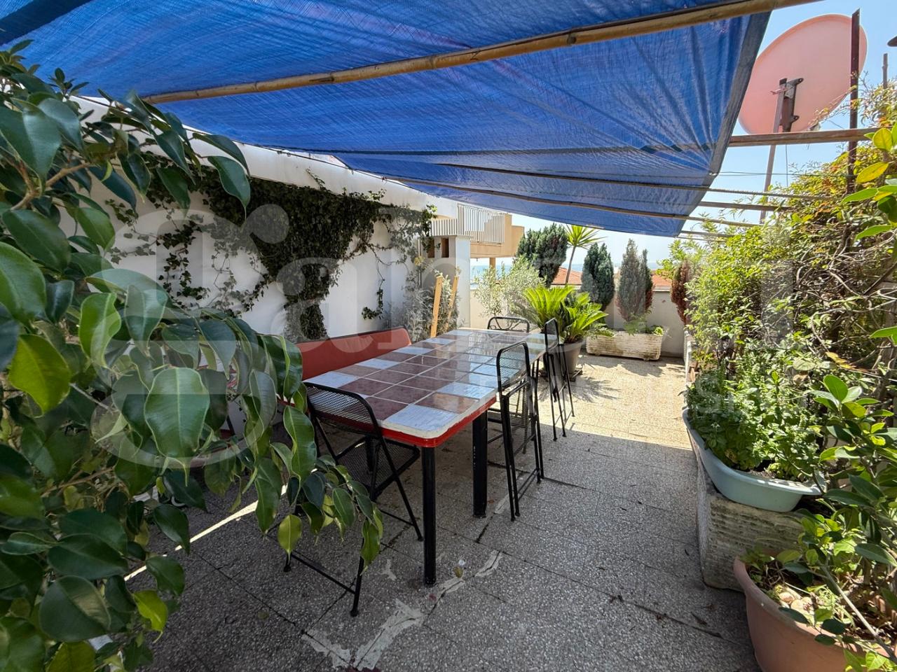 immagine annuncio 7 di 13