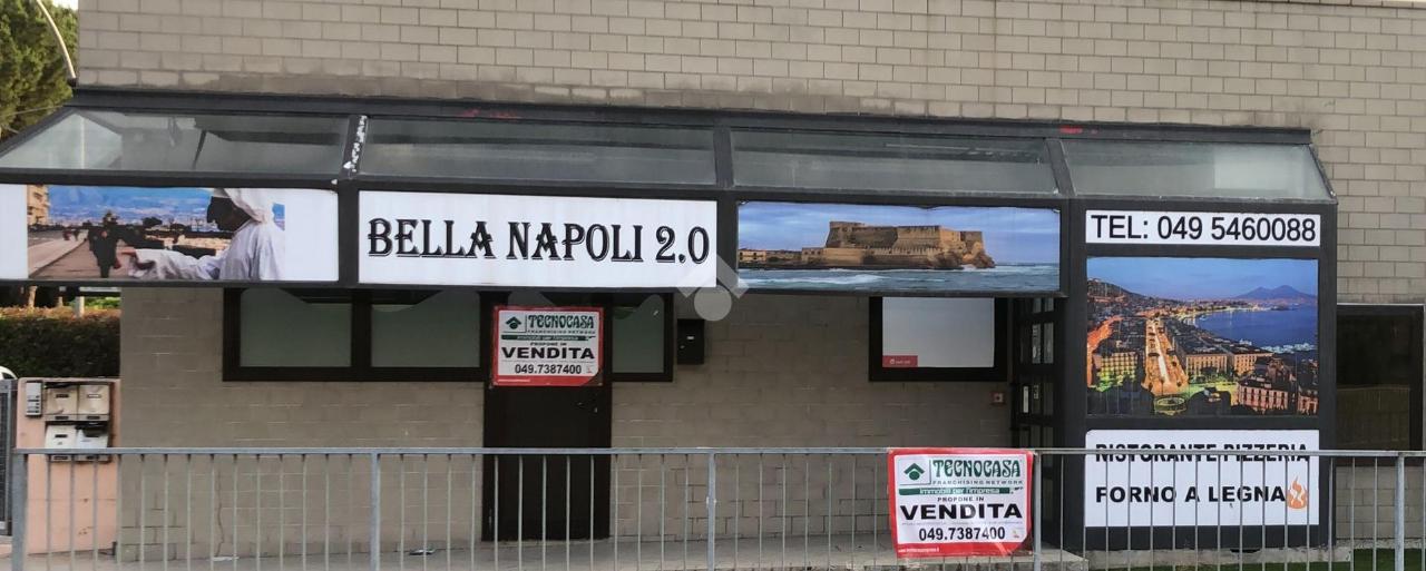 Negozio in vendita a Vigodarzere