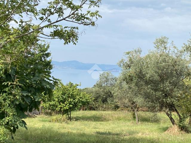 Terreno agricolo in {3}, Via Cassia Nord - Foto 1