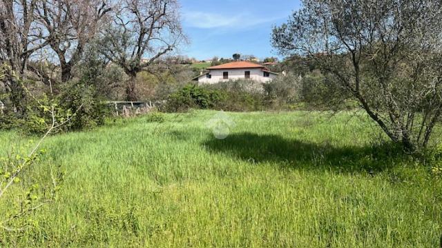 Terreno edificabile in Via Zepponami, Montefiascone - Foto 1