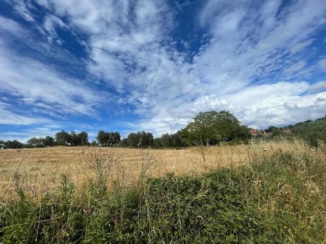 Agricultural land in Str. dei Carri, Marta - Photo 1