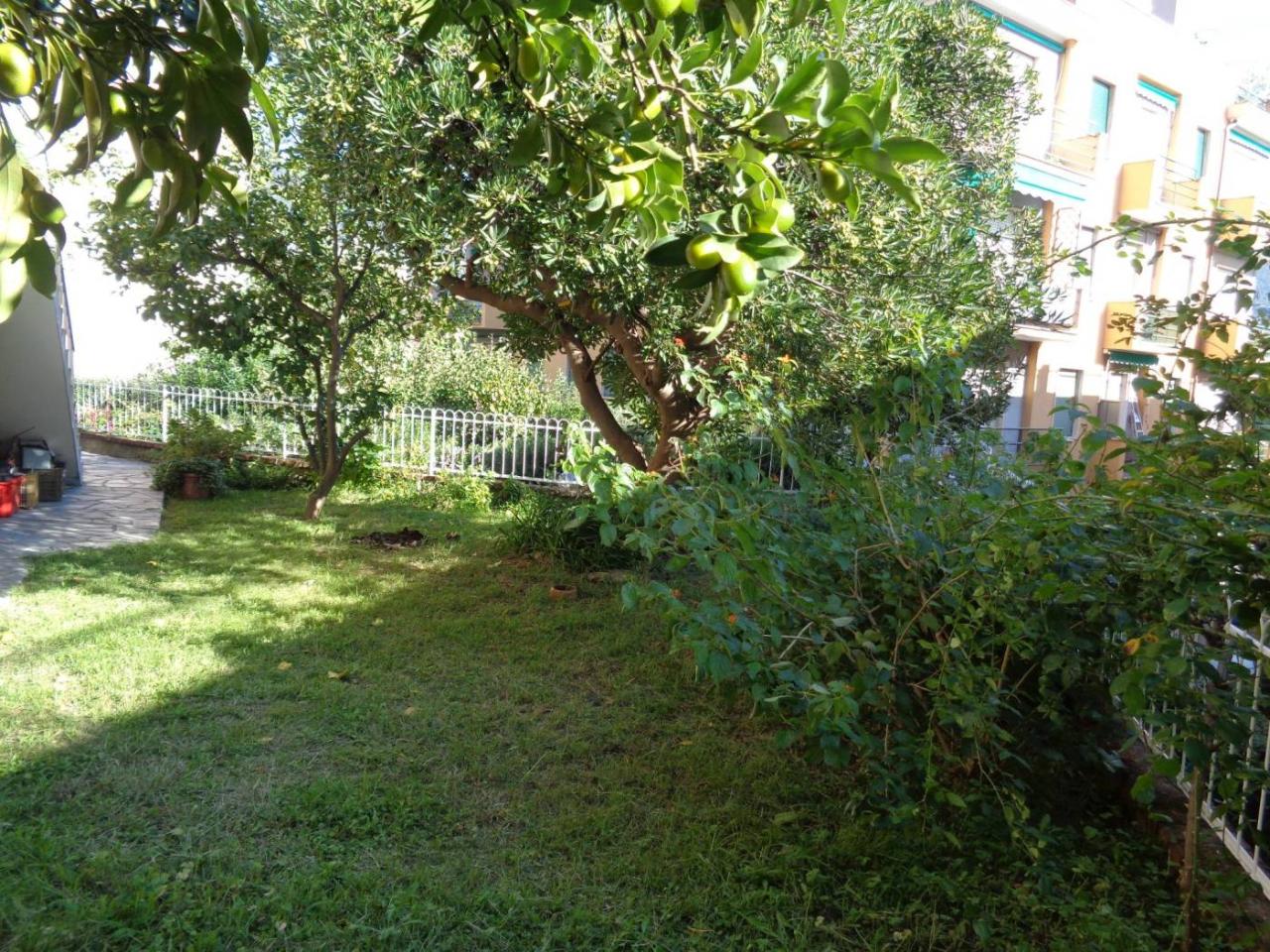 immagine annuncio 2 di 13