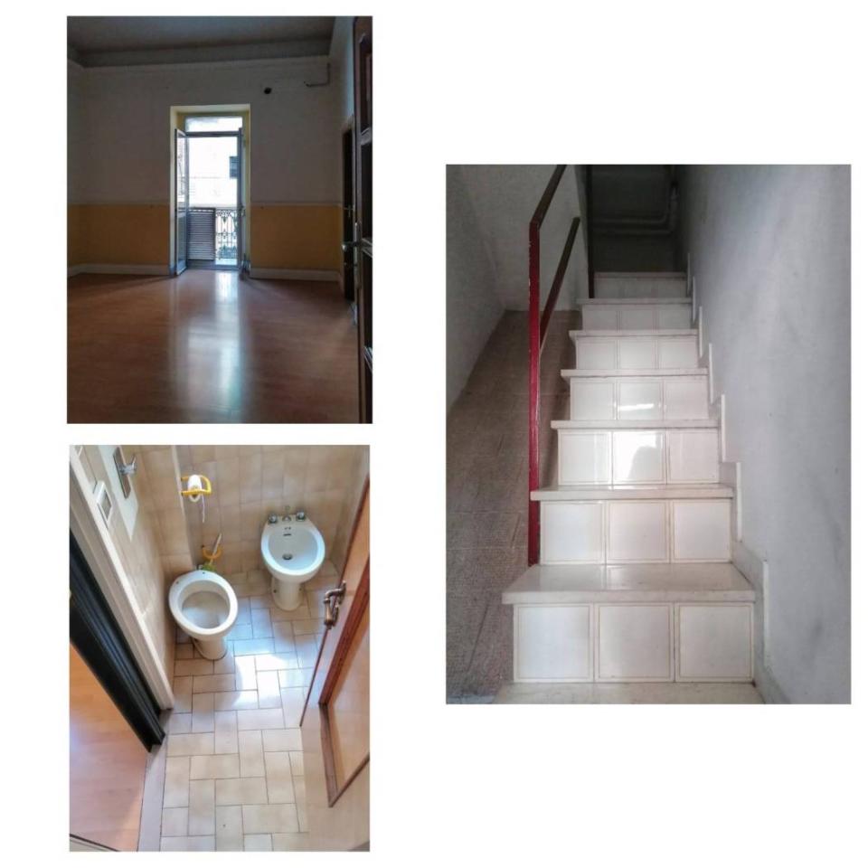 immagine annuncio 3 di 12