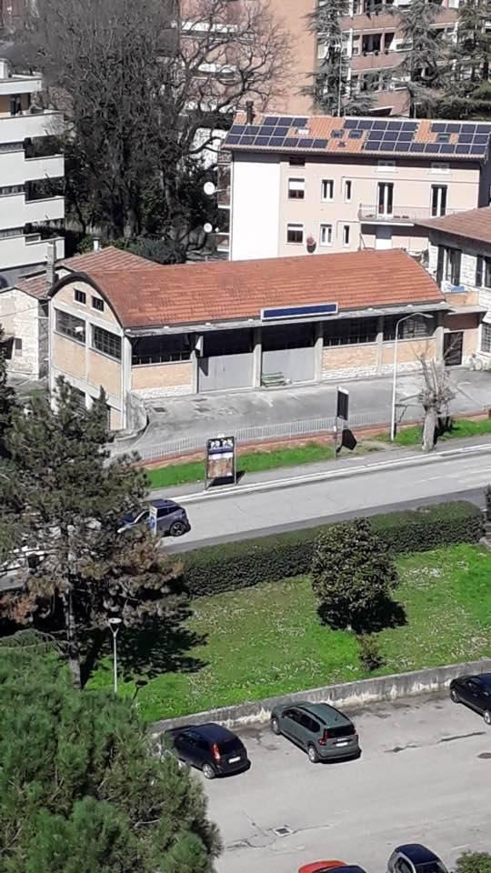 immagine annuncio 4 di 14