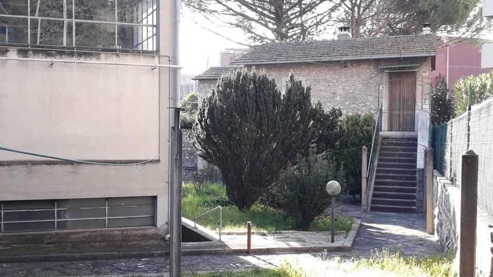immagine annuncio 9 di 14