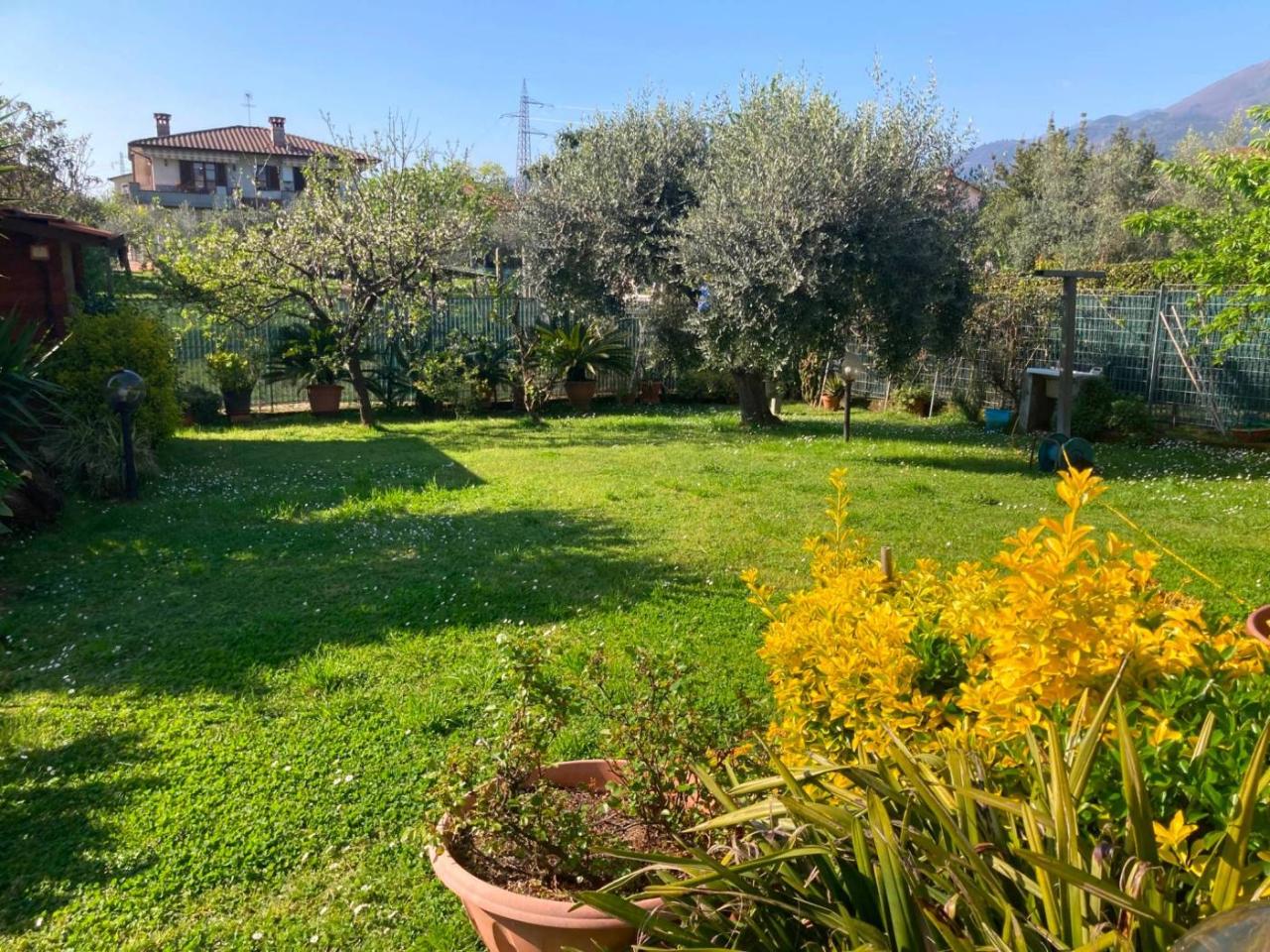 immagine annuncio 5 di 15