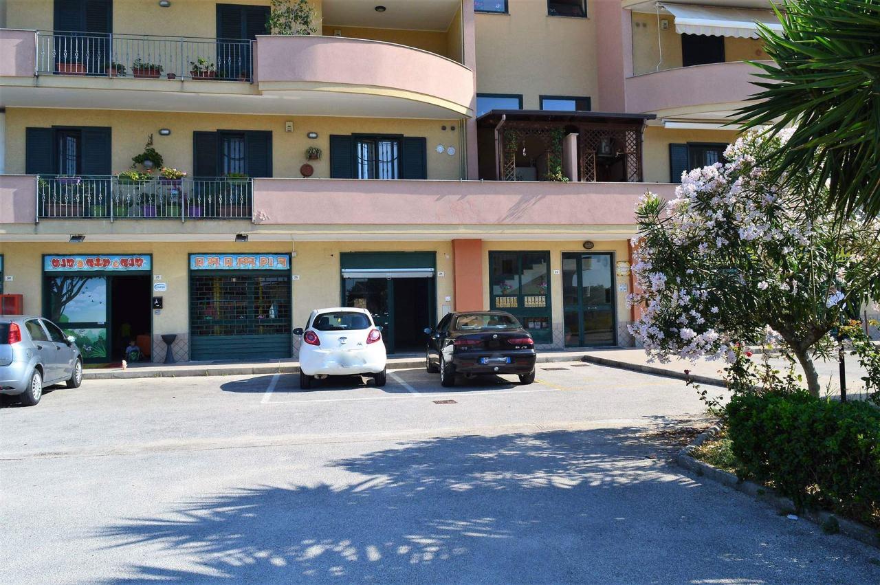 Negozio in Via Generoso Iodice, Santa Maria Capua Vetere, {3} - Foto 1