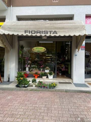 Shop, Parma - Photo 1