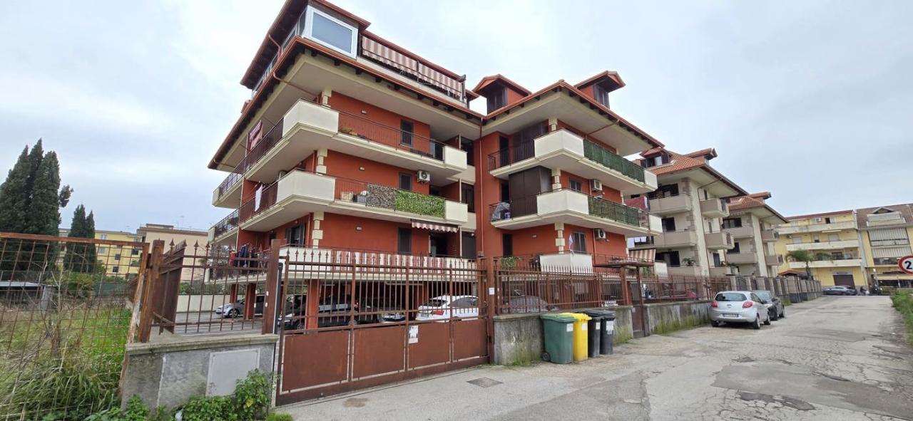 immagine annuncio 8 di 11