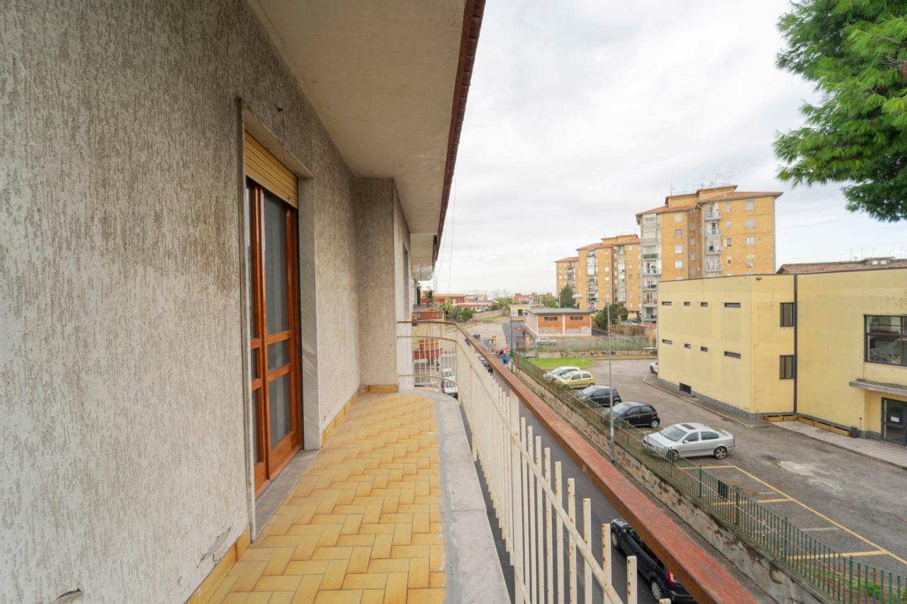 immagine annuncio 12 di 14