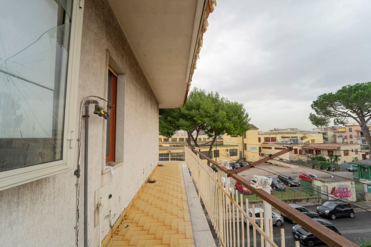 immagine annuncio 10 di 14