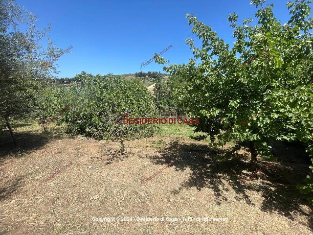 Agricultural land in {3}, Strada Provinciale della Traversa - Photo 1