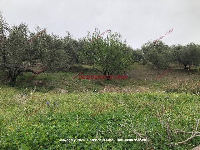 Agricultural land in {3}, Strada Provinciale 127 - Photo 1