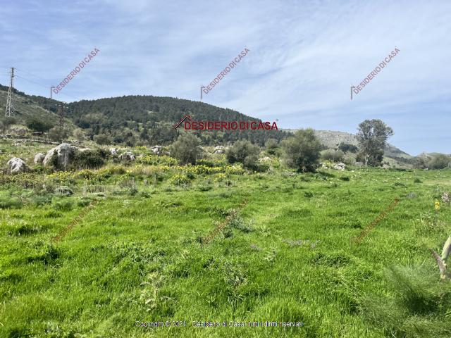 insertion image