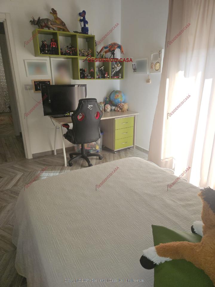 immagine annuncio 3 di 12