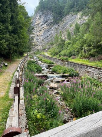 immagine annuncio 10 di 13