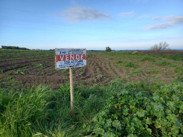 Terreno agricolo in Strada Provinciale Guglionesi Petacciato, Petacciato - Foto 1