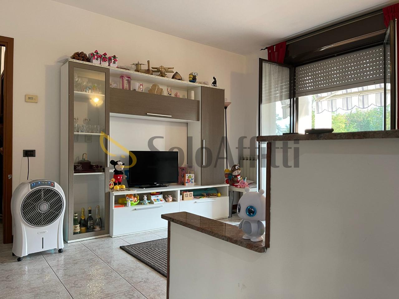 immagine annuncio 3 di 9