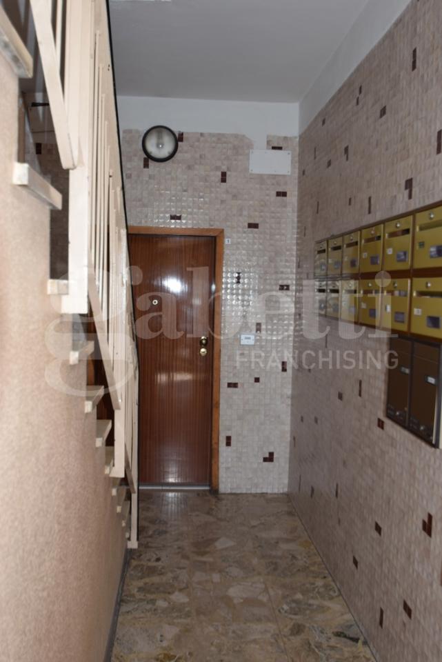 immagine annuncio 11 di 14