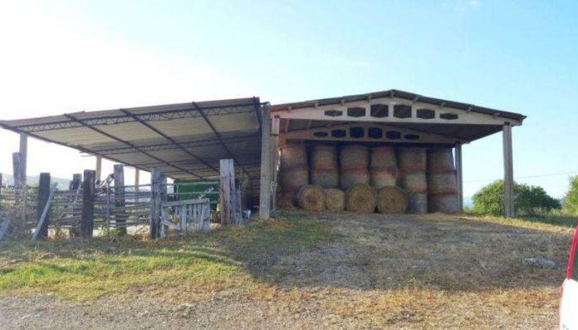 Azienda agricola in , Gavorrano, {3} - Foto 1