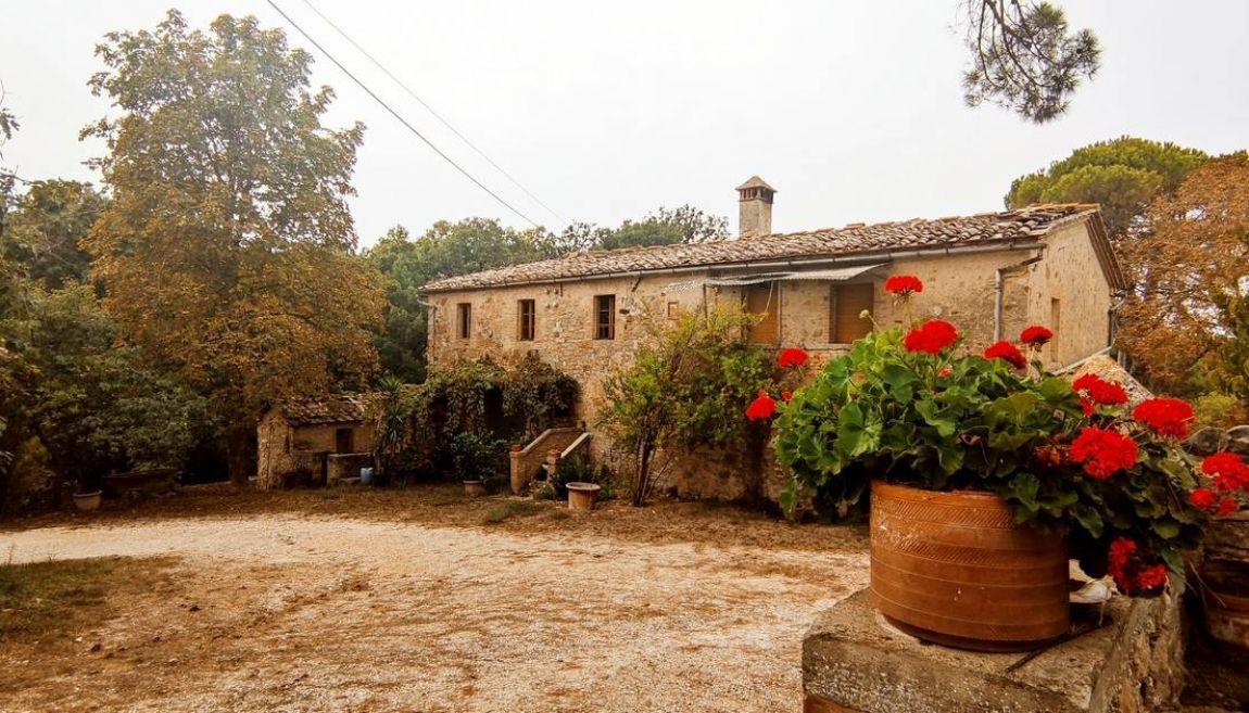 Azienda agricola in , Sovicille, {3} - Foto 1