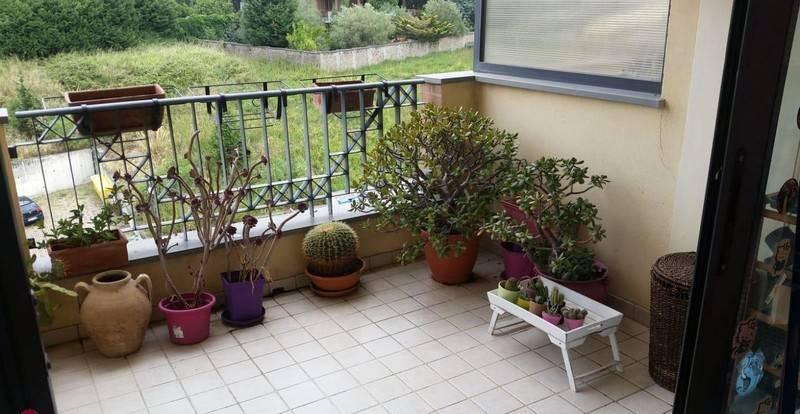 immagine annuncio 11 di 14