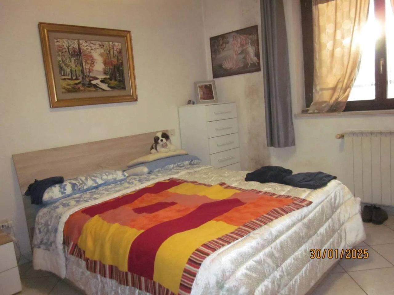 immagine annuncio 12 di 14