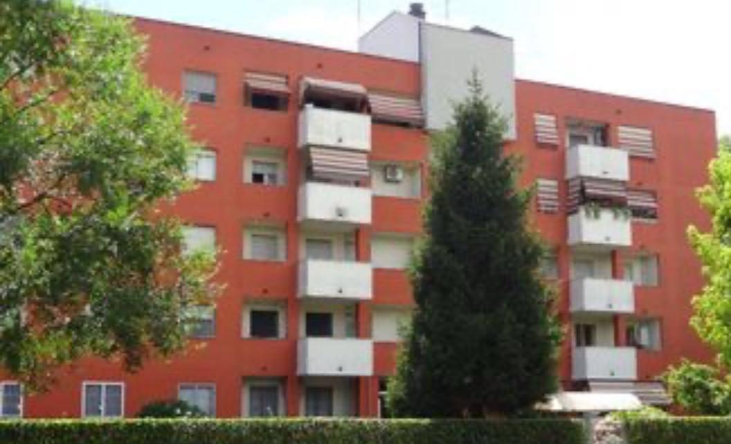 immagine annuncio 8 di 9