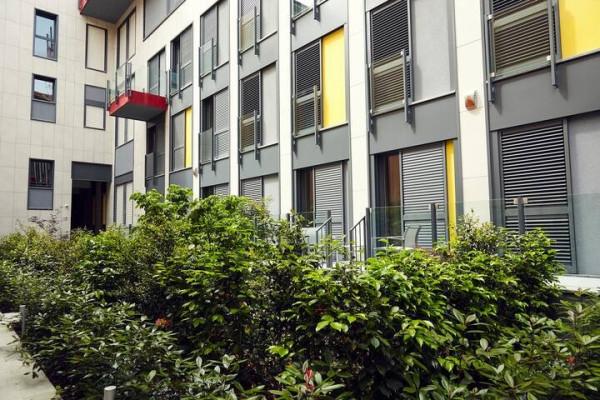 immagine annuncio 9 di 12