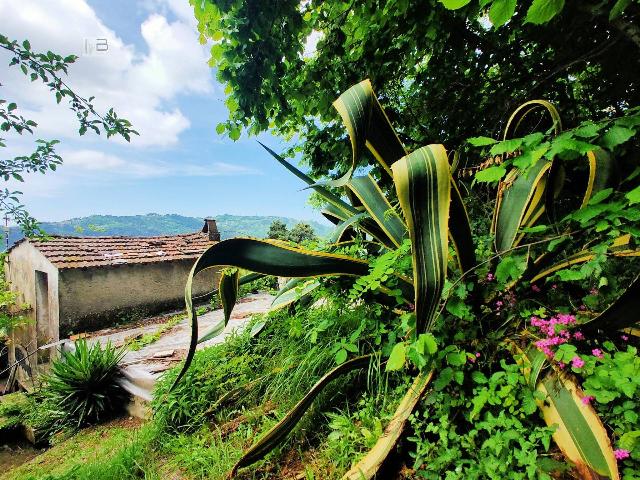 Mansion in Via Pieve, Camaiore - Photo 1