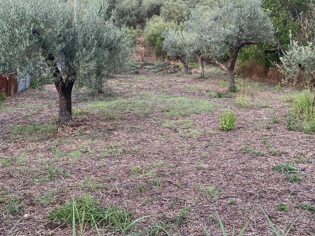 Terreno agricolo in Contrada Cavaliere, Barcellona Pozzo di Gotto - Foto 1