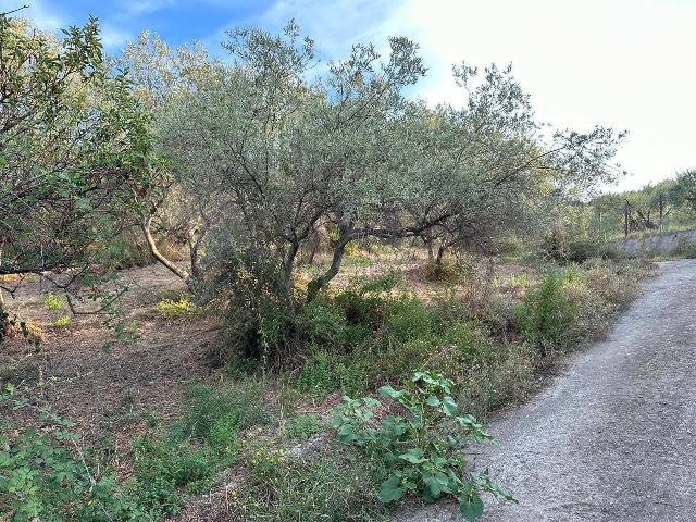 Terreno agricolo in Stretto Cipollosa, Barcellona Pozzo di Gotto - Foto 1