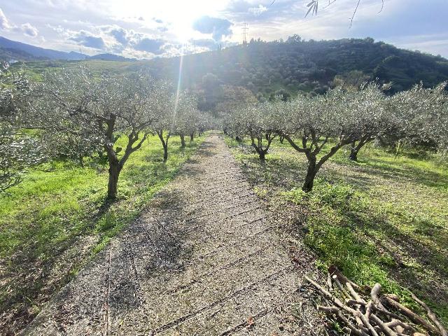 Terreno agricolo in Contrada Cavaliere, Barcellona Pozzo di Gotto - Foto 1