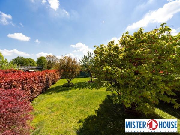 immagine annuncio 4 di 15