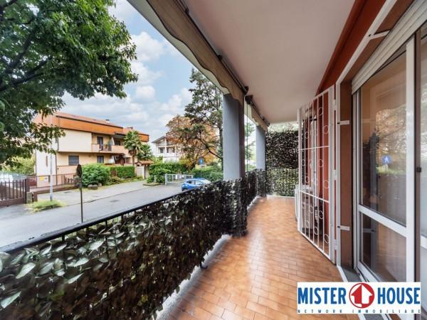 immagine annuncio 9 di 15