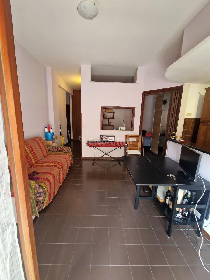 immagine annuncio 3 di 13