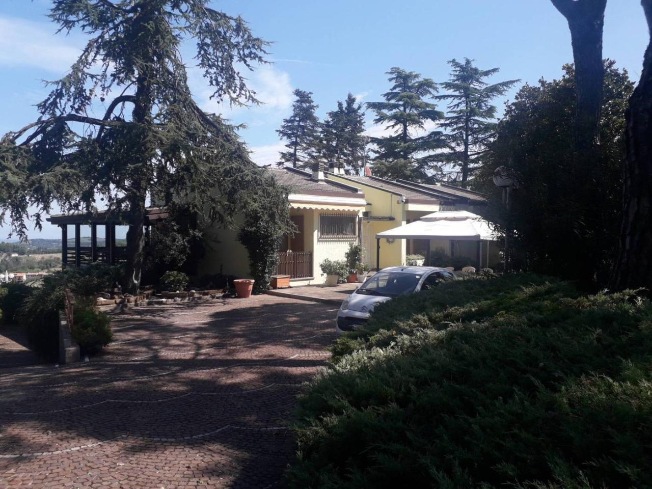 immagine annuncio 3 di 12