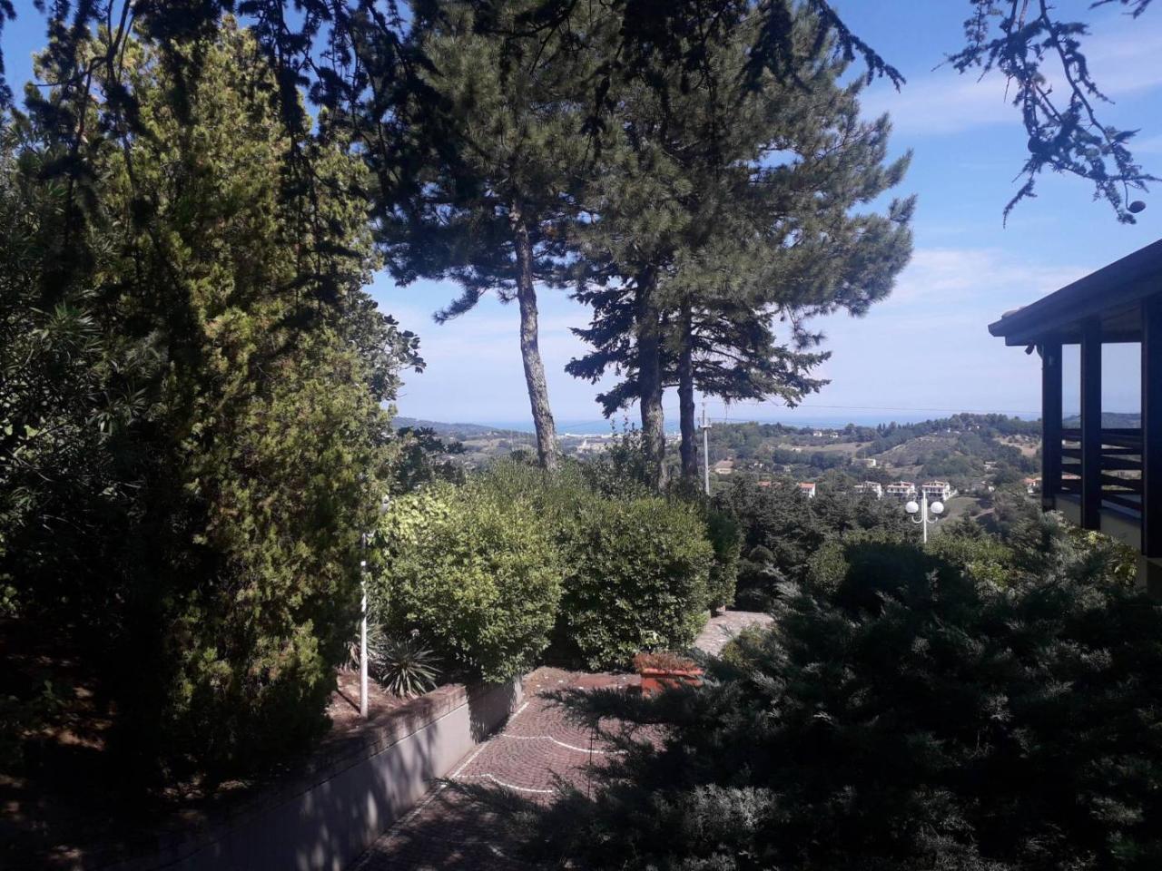 immagine annuncio 7 di 12